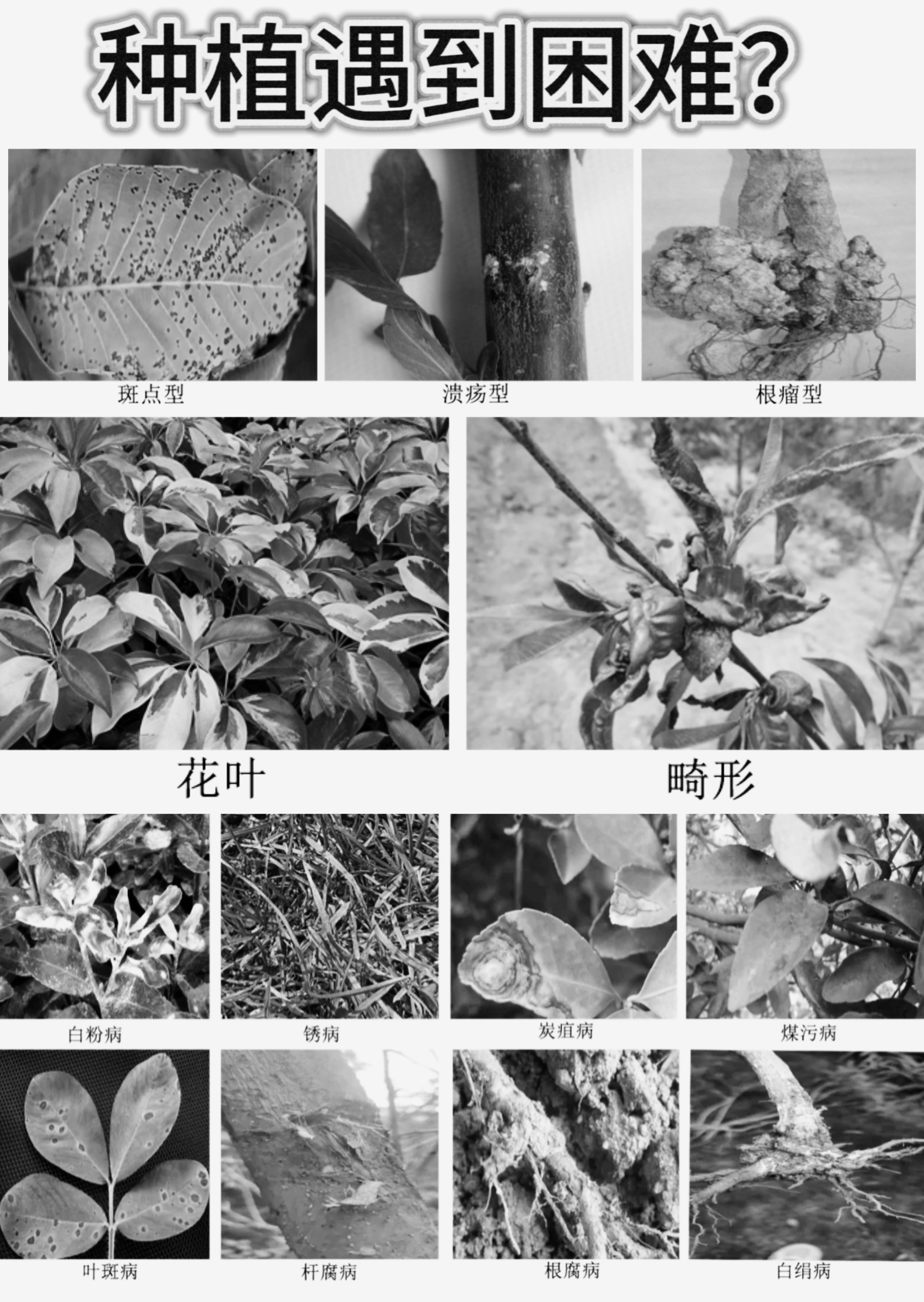 1704714843577577.jpg 2_20230925151652_617.jpg